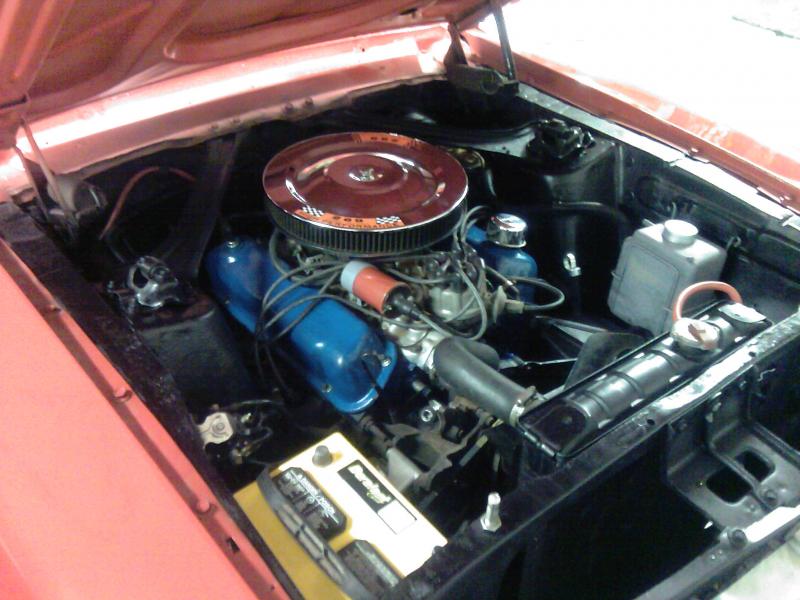 Mustang 67  (11).jpg